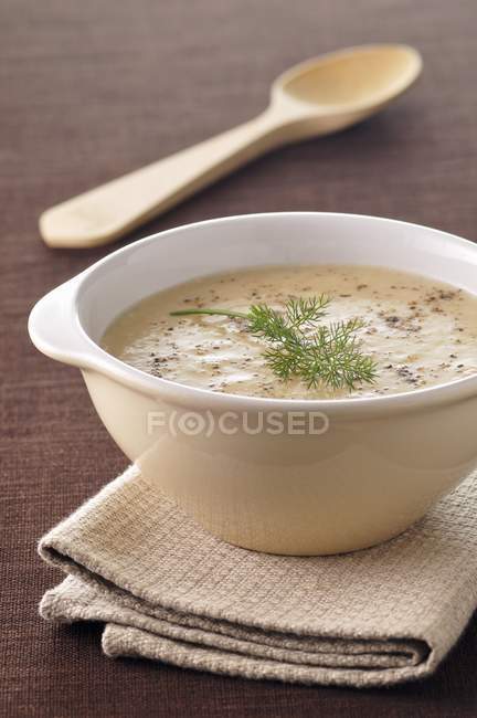 Cream of fennel soup — Stock Photo