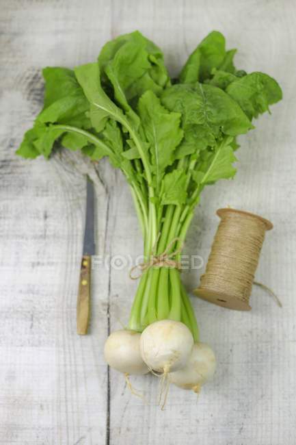 Bunch of white turnips with stalks — Stock Photo
