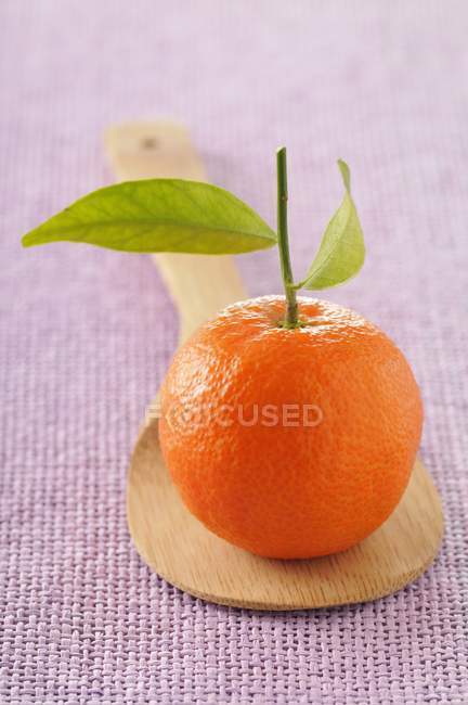 Mandarin with leaves on twig — Stock Photo
