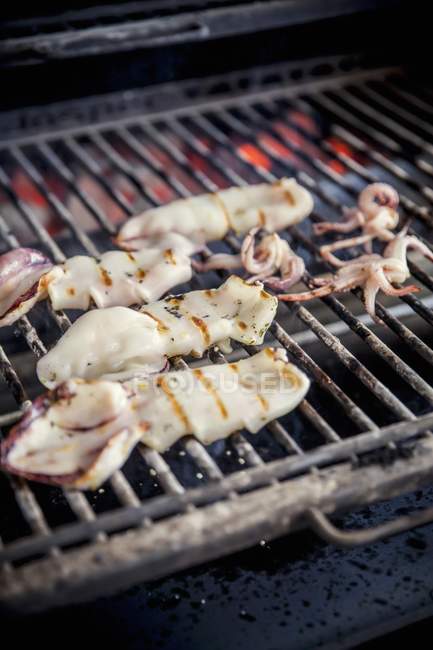 Calamari alla griglia su un barbecue — Foto stock