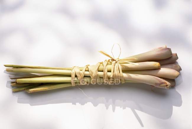 Closeup view of Citronella stems tied in a bunch on white reflective surface — Stock Photo