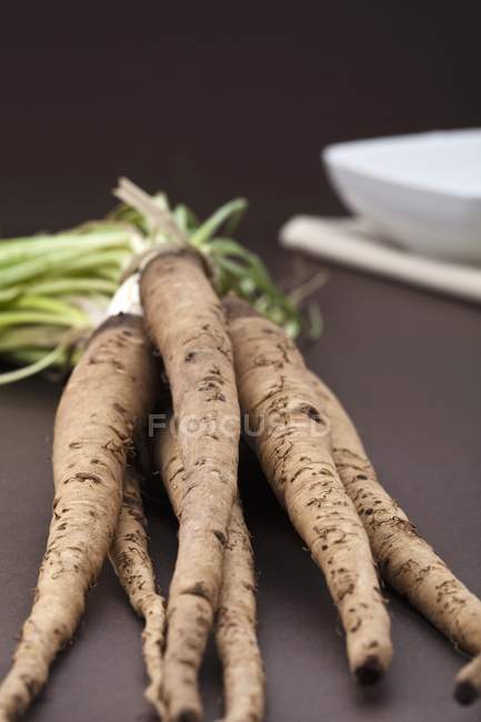 Closeup view of salsify roots heap — Stock Photo