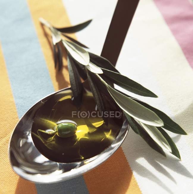 Olivenöl im Löffel — Stockfoto