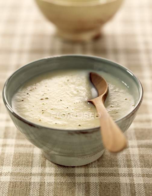 Дю Баррі суп в миску з дерев'яною ложкою — стокове фото