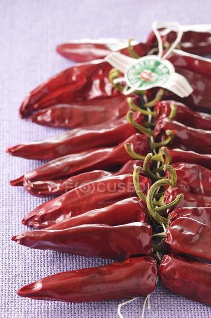 Mazzo di peperoni Espelette essiccati — Foto stock