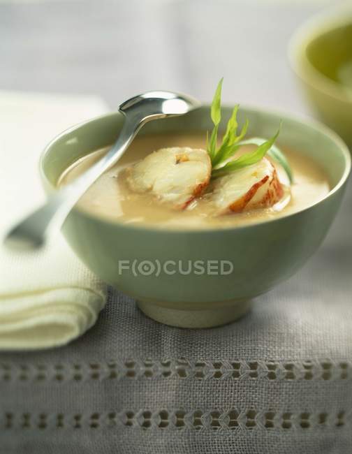 Closeup view of lobster Consomme soup — Stock Photo