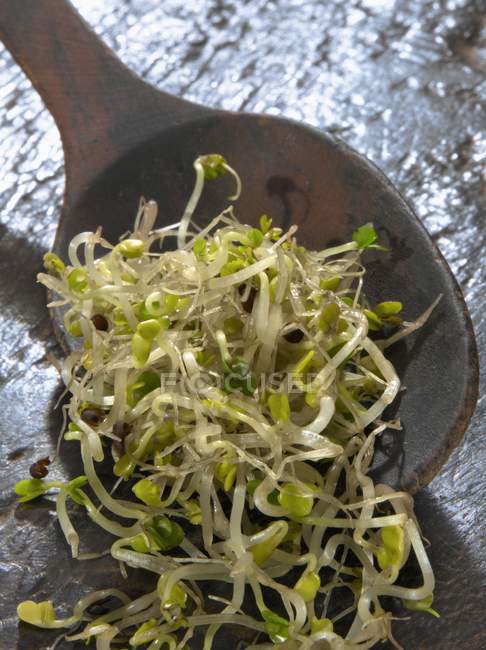 Germogli di broccoli su cucchiaio — Foto stock
