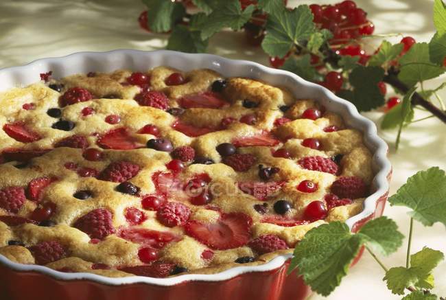 Summer fruit pudding with berries — Stock Photo