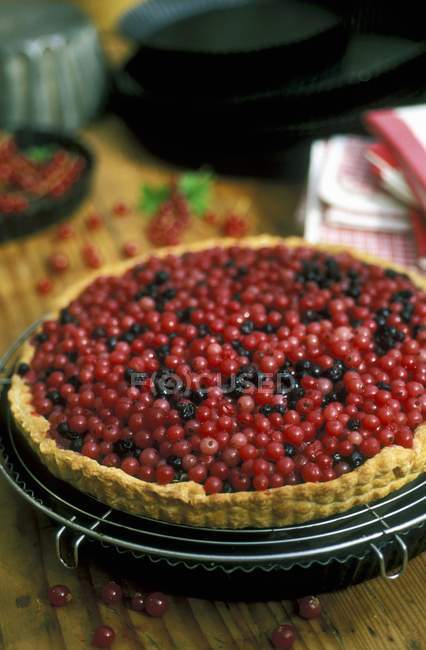 Alsatian berry tart — Stock Photo