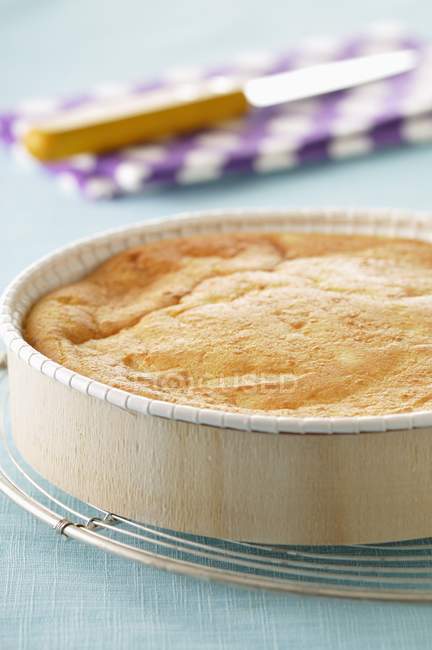 Brousse cake in tray — Stock Photo