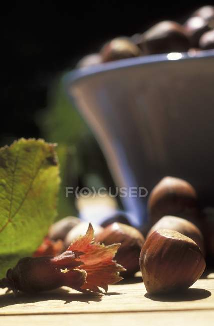 Shelled Hazelnuts with bowl — Stock Photo