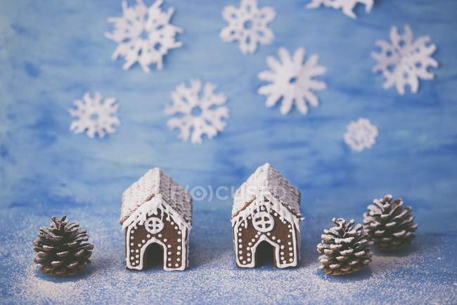 Two gingerbread houses — Stock Photo