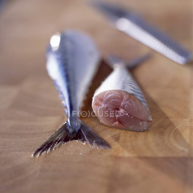 Frische Makrelenschwänze — Stockfoto