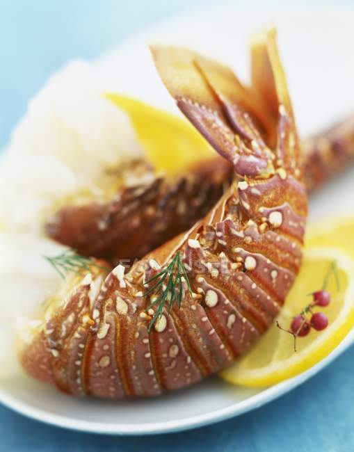 Vista close-up de caudas de lagosta espinhosa com limão — Fotografia de Stock