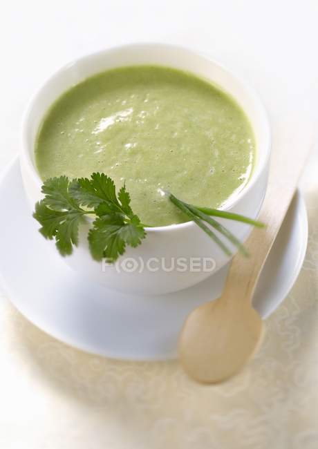 Crema fría de lechuga y sopa de hierbas - foto de stock