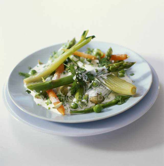 Piatto di verdure primaverili su piatti su superficie bianca — Foto stock