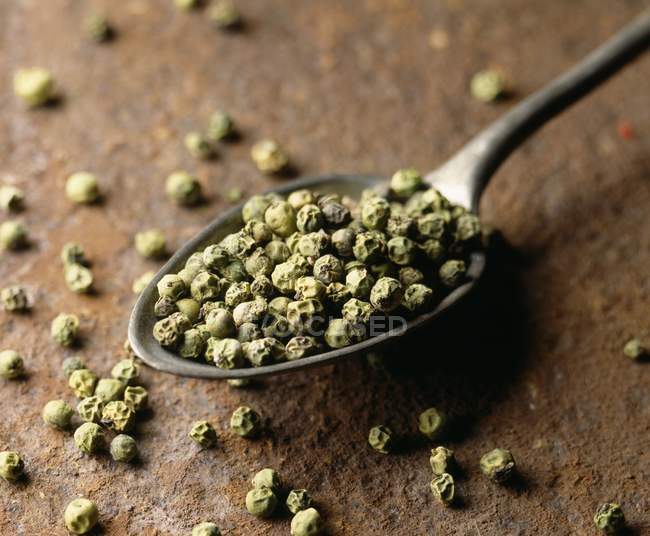 Grão de pimenta verde seco na colher — Fotografia de Stock