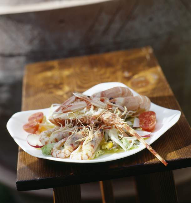 Овощной салат с ломтиками мяса на белой тарелке — стоковое фото