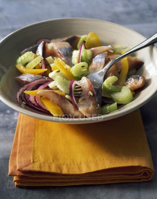 Salade de hareng sur assiette — Photo de stock