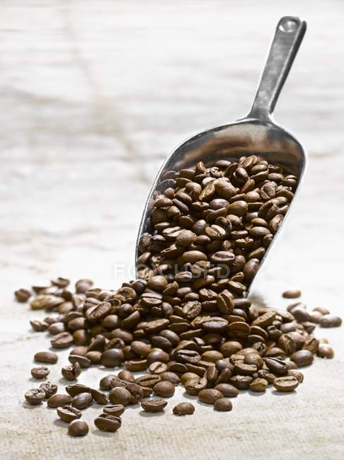 Coffee beans on server — Stock Photo