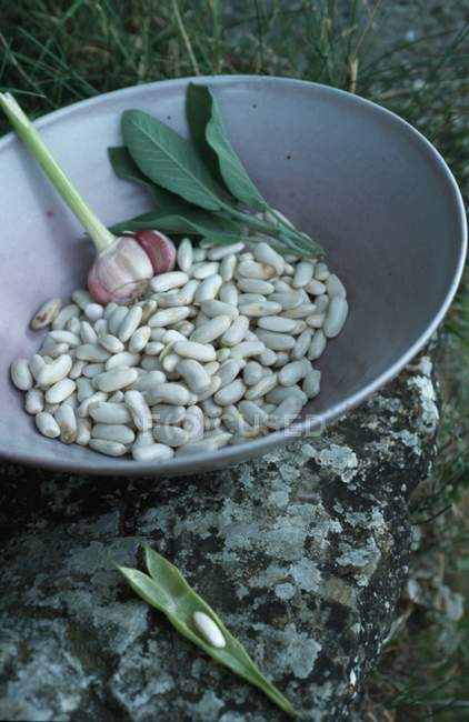 White beans in grey bowl — Stock Photo