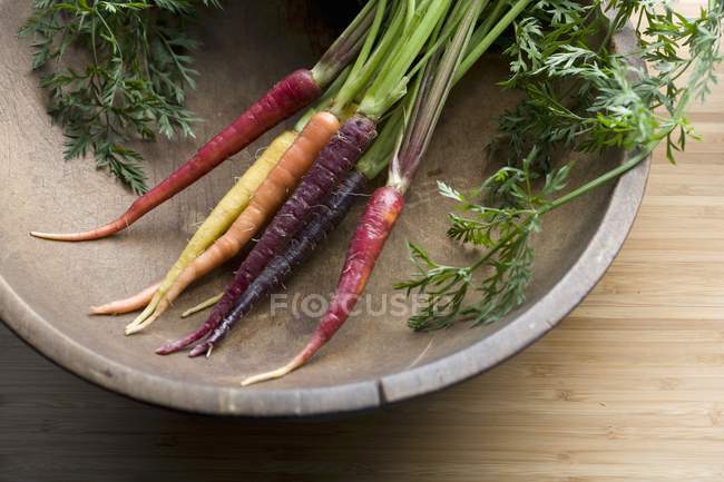 Морква веселка в мисці — стокове фото