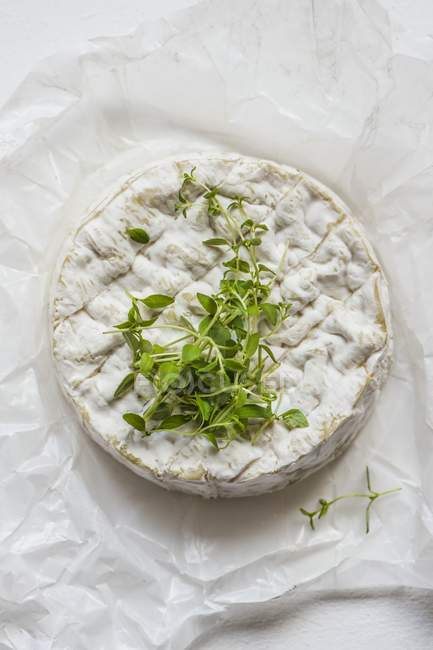Camembert with fresh thyme — Stock Photo