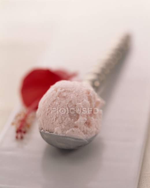 Greek yoghurt and hibiscus flower ice cream — Stock Photo