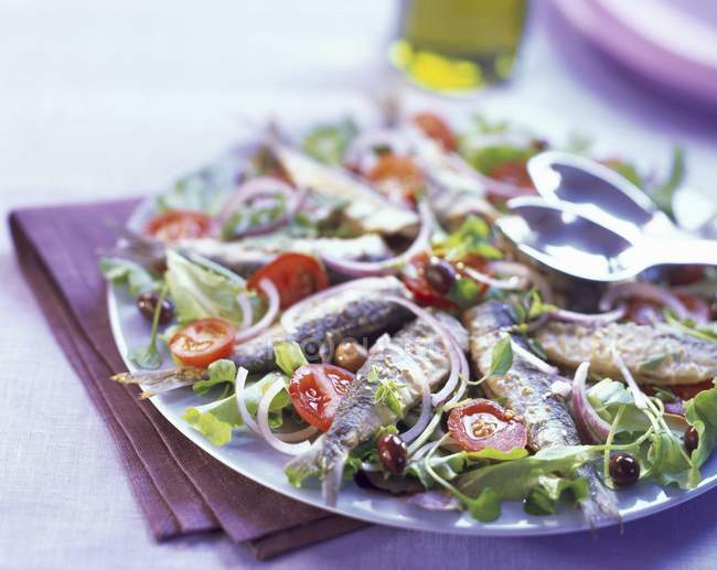 Оливковый и томатный салат — стоковое фото