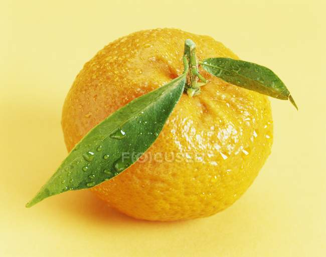 Mandarino con foglie sul tavolo — Foto stock