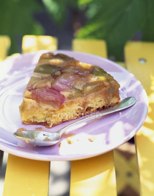 Slice of Rhubarb cake on plate — Stock Photo