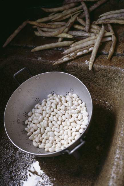 Haricot beans from Paimpol — стокове фото
