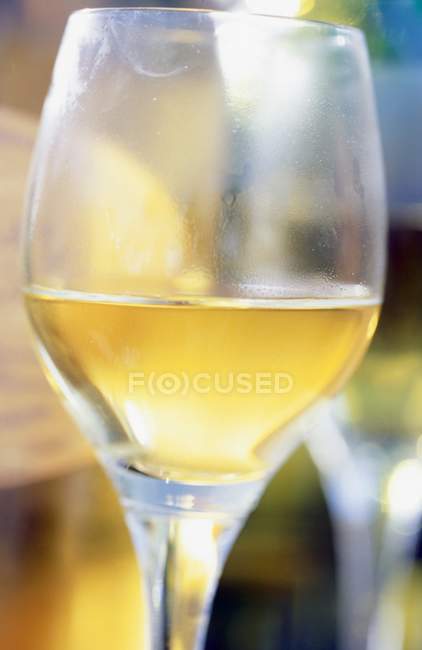 Бокал белого вина — стоковое фото