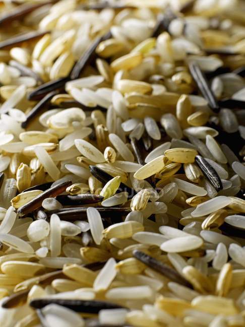 Gemischter ungekochter Reis — Stockfoto
