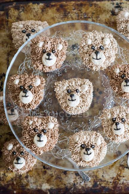 Bear head cupcakes — Stock Photo