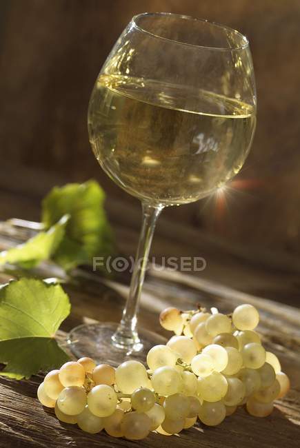 Белое бургундское вино — стоковое фото