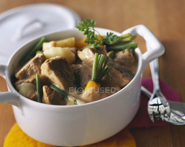 Veal and vegetable stew — Stock Photo