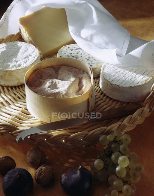 Different types cheeses — Stock Photo