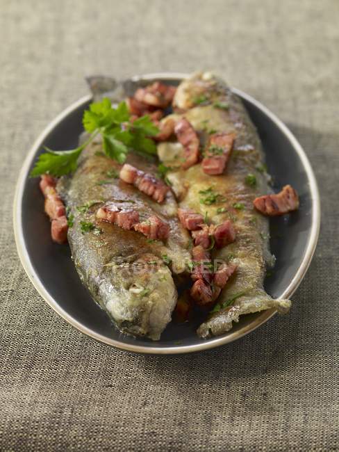 Trouts with diced bacon — Stock Photo