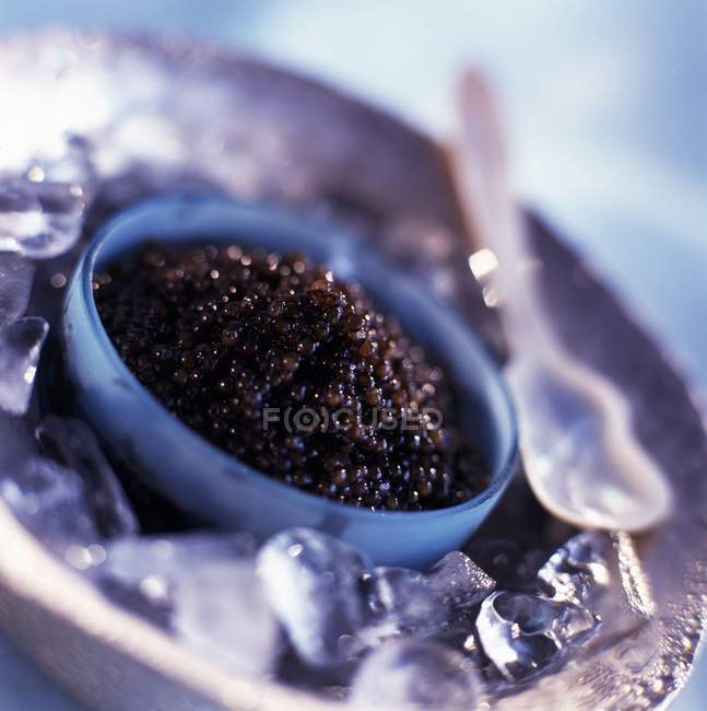 Bol de caviar de béluga — Photo de stock