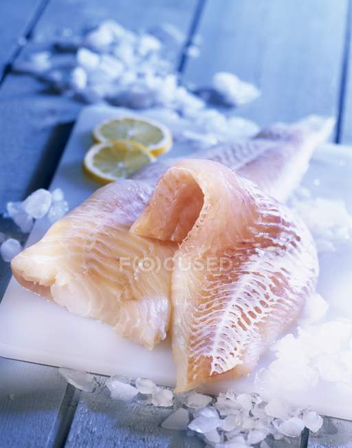 Filetes de bacalhau em bruto — Fotografia de Stock