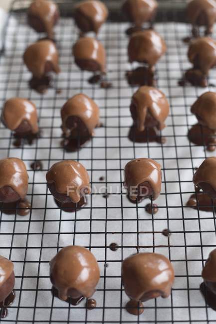 Peanut butter balls — Stock Photo