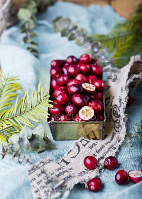 Cranberries em caixa de metal — Fotografia de Stock