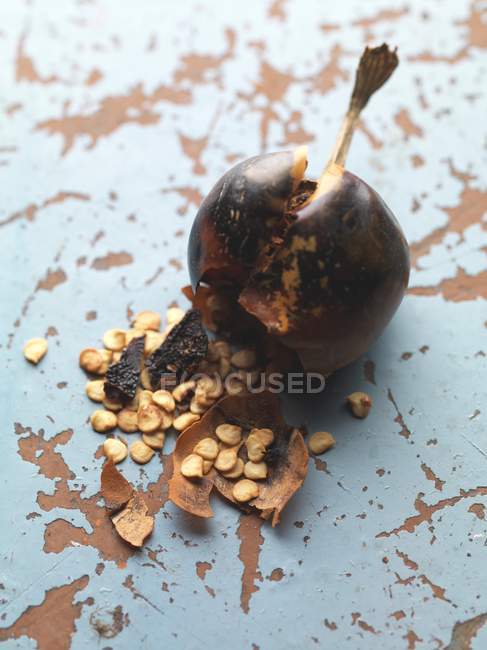 Dried Cascabel pepper — Stock Photo