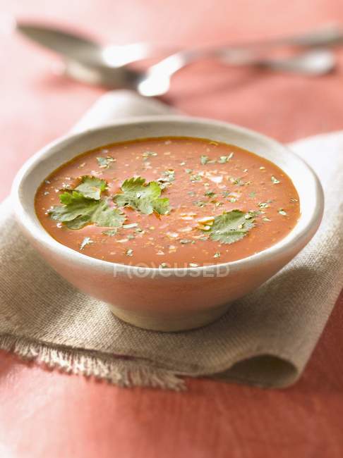 Sopa de tomate caliente - foto de stock