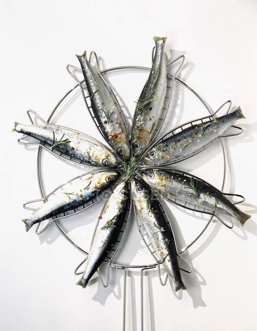 Sardines fraîches sur poêle à griller — Photo de stock