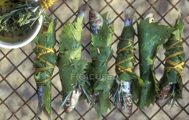 Sardines wrapped in vine leaves — Stock Photo