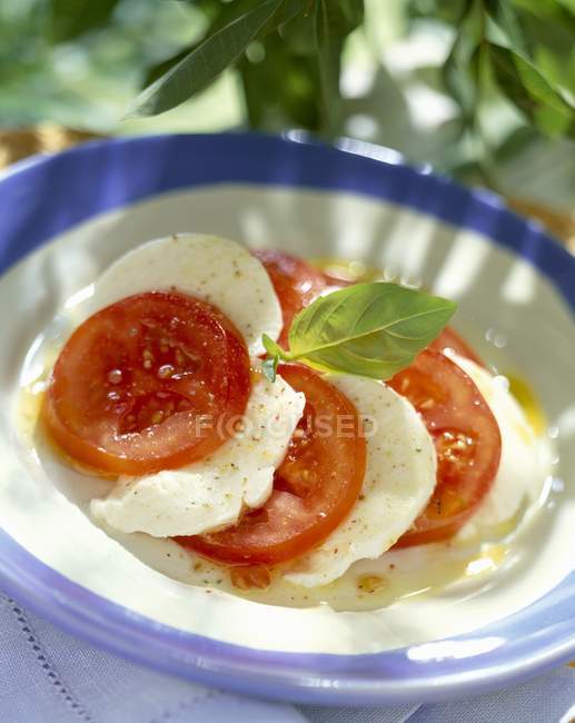 Tomato and mozzarella on plate — Stock Photo