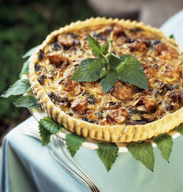 Nettle savoury tart on white plate with herbs over tablecloth — Stock Photo