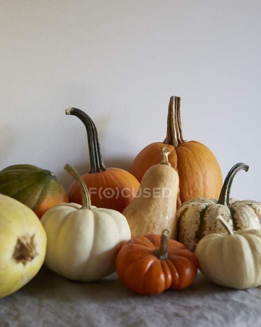 Gourds assortiti su sfondo bianco — Foto stock